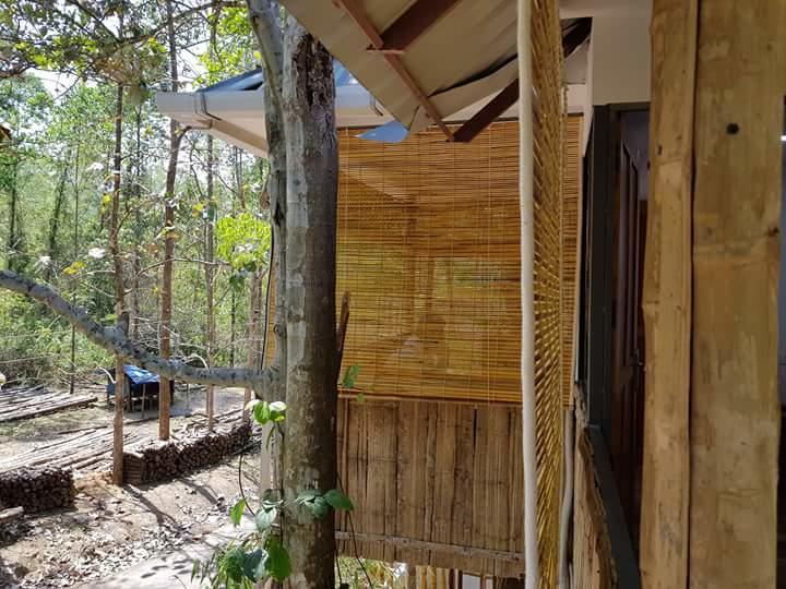 Ponmudi Valley Resorts ภายนอก รูปภาพ