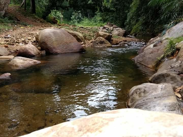 Ponmudi Valley Resorts ภายนอก รูปภาพ